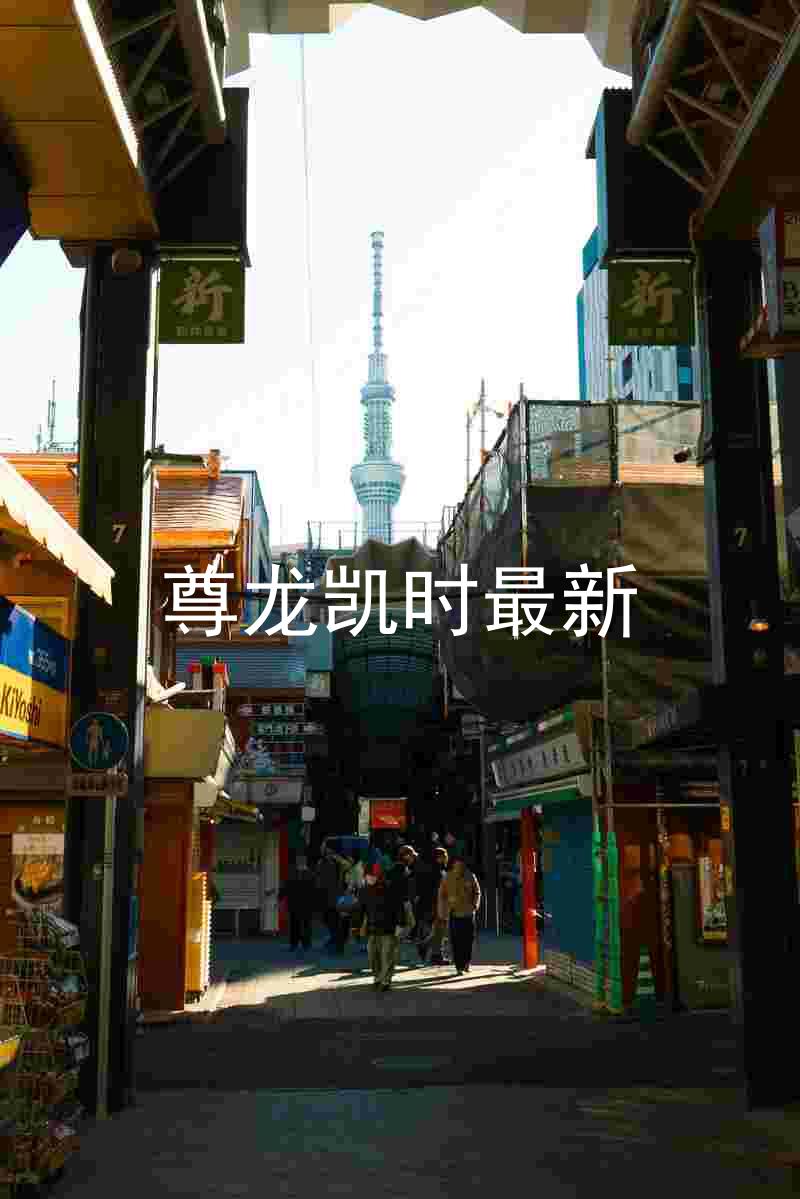 尊龙凯时最新