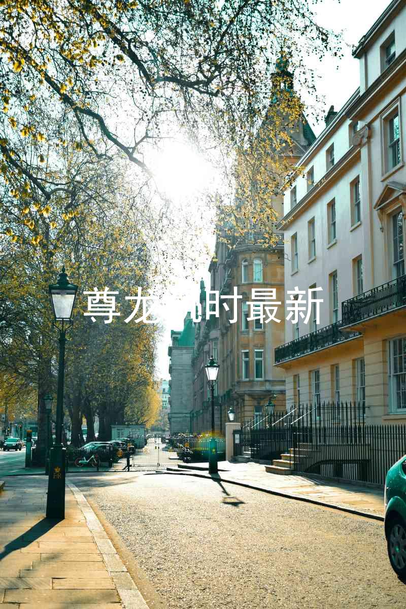 尊龙凯时最新