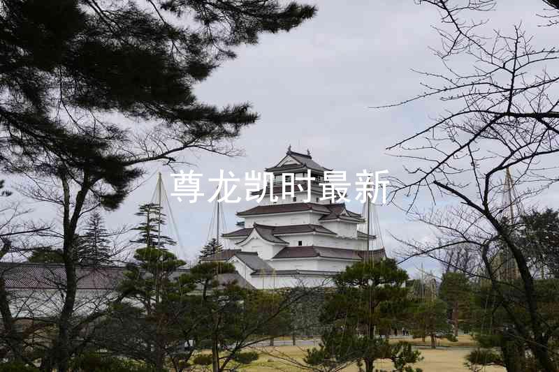 尊龙凯时最新